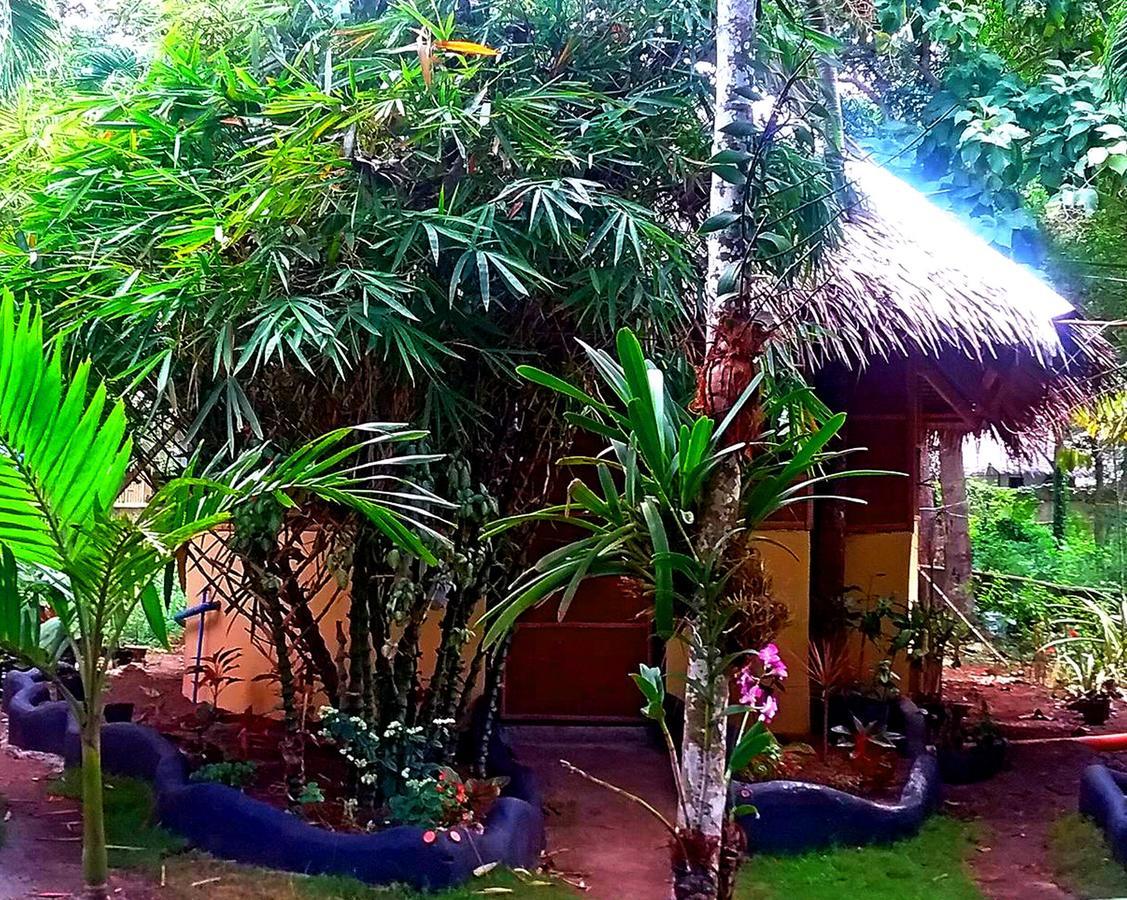 Lennon'S Place Backpacker Hostel Panglao Exteriér fotografie